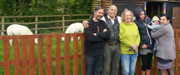 The Alpaca Paddocks - Effingham, Surrey