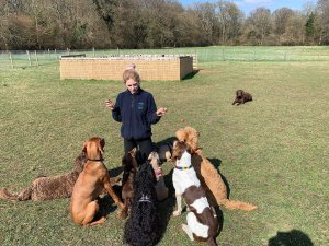 TAP FARM - Effingham, Surrey