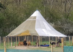 TAP FARM - Effingham, Surrey